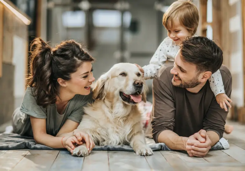How to Make My Dog a Service Dog