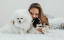 Low-Maintenance Hypoallergenic Dogs: The Best Breeds for Allergy Sufferers