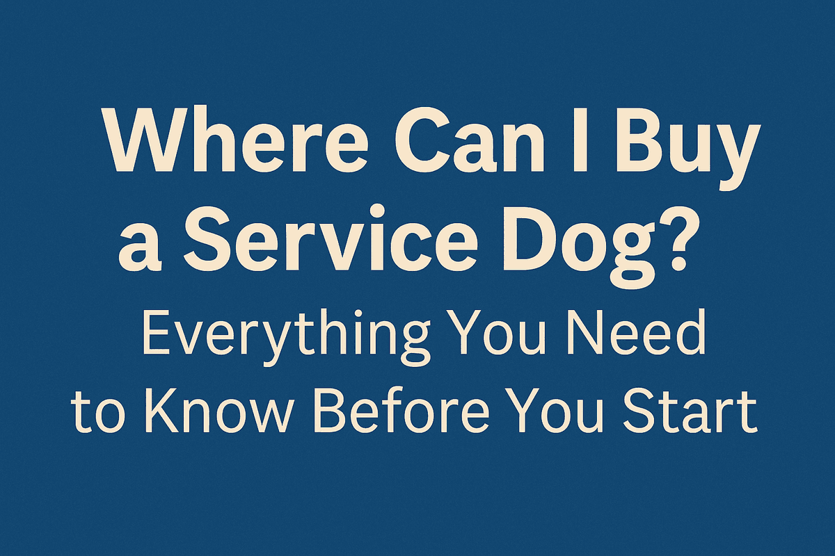 Where Can I Buy a Service Dog? Everything You Need to Know Before You Start