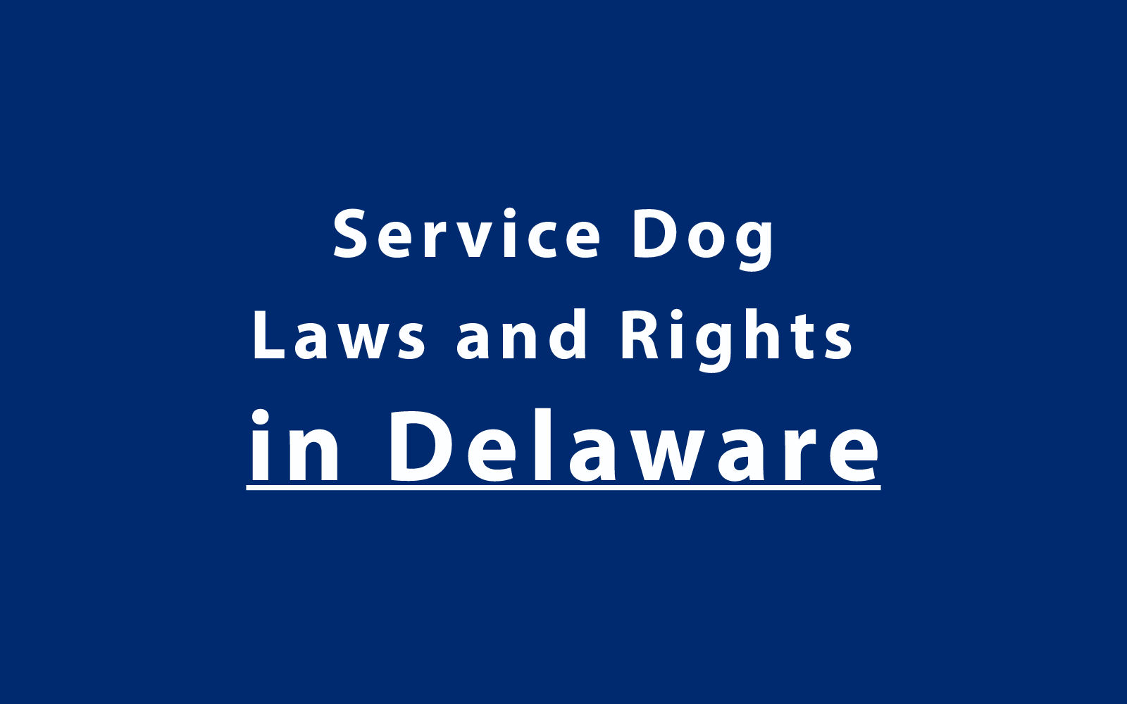 Service Dog Laws and Rights in Delaware