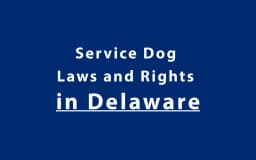 Service Dog Laws and Rights in Delaware