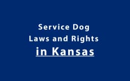 Service Dog Laws and Rights in Kansas