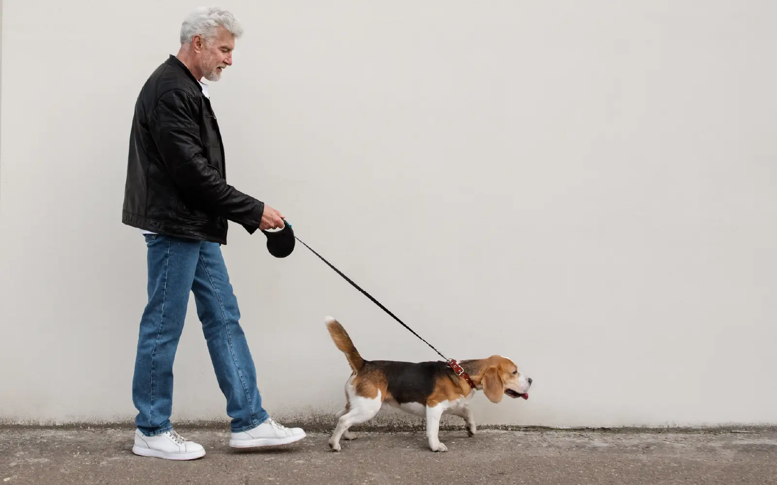 How to Determine if You Need a Service Dog