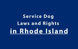 Service Dog Laws and Rights in Rhode Island