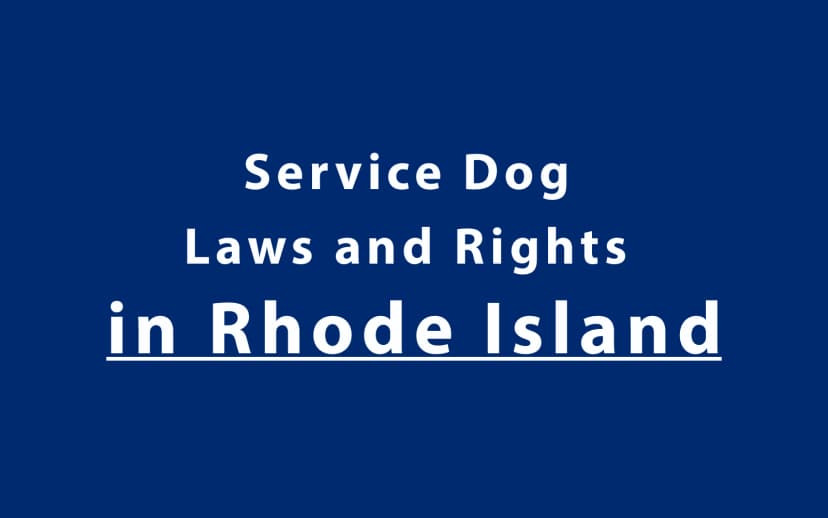 Service Dog Laws and Rights in Rhode Island