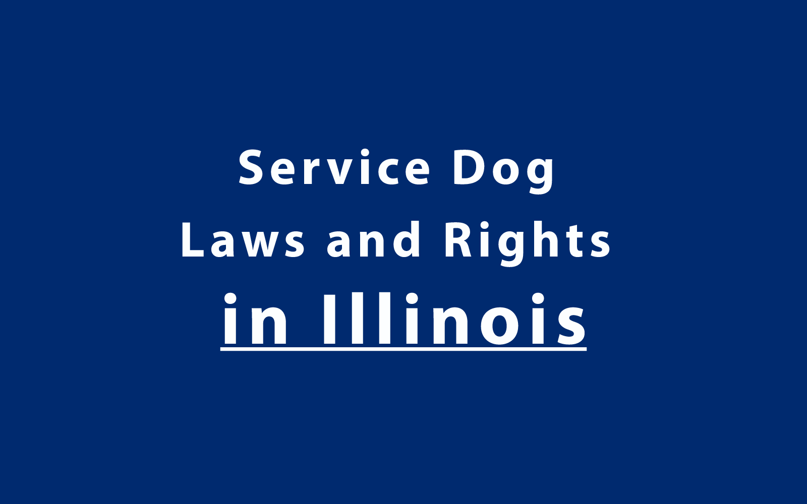 Service Dog Laws and Rights in Illinois