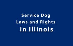 Service Dog Laws and Rights in Illinois