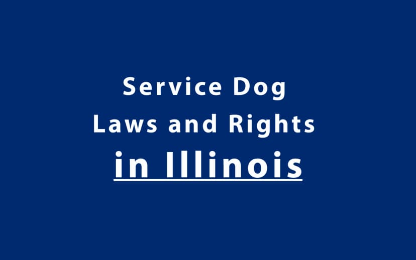 Service Dog Laws and Rights in Illinois