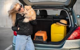 Traveling with Your Dog: A Complete Guide for Pet Owners