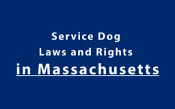 Service Dog Laws and Rights in Massachusetts
