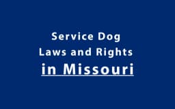 Service Dog Laws and Rights in Missouri
