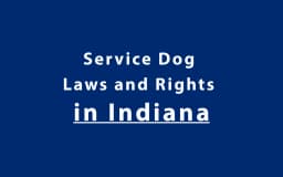 Service Dog Laws and Rights in Indiana