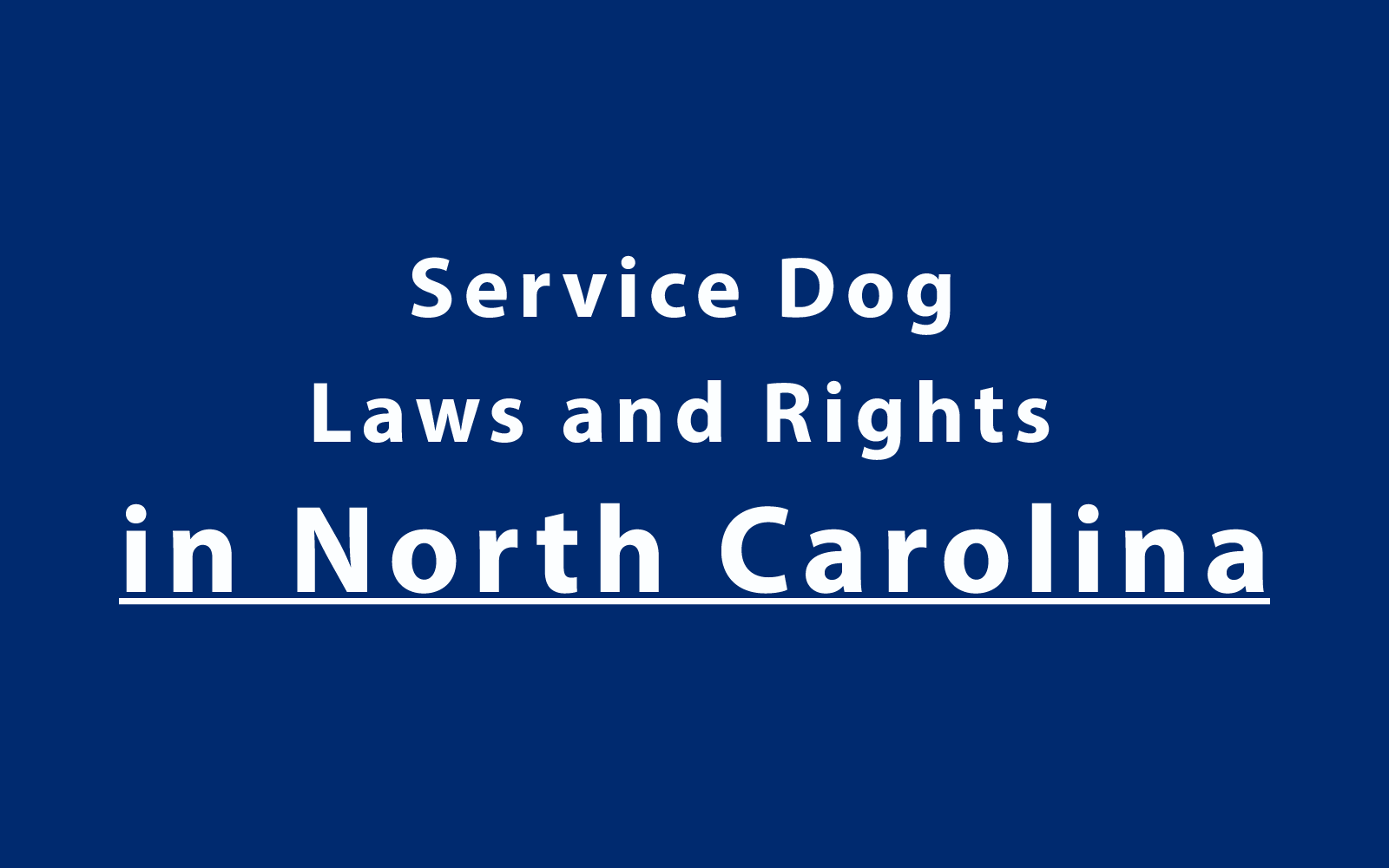 Service Dog Laws and Rights in North Carolina