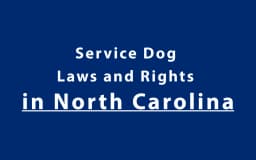 Service Dog Laws and Rights in North Carolina