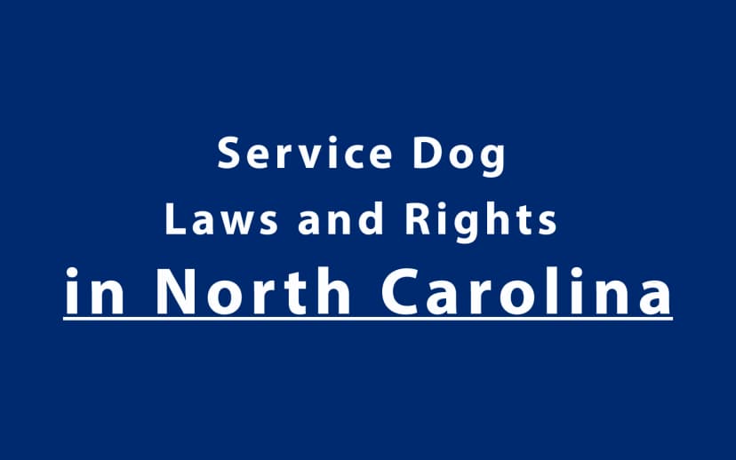 Service Dog Laws and Rights in North Carolina
