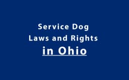 Service Dog Laws and Rights in Ohio
