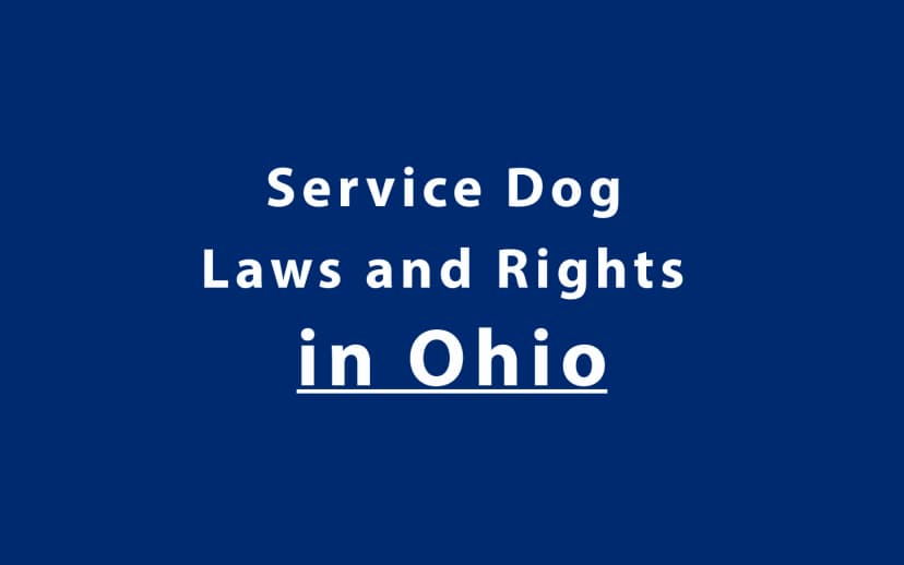 Service Dog Laws and Rights in Ohio