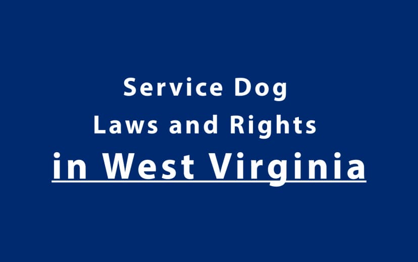 Service Dog Laws and Rights in West Virginia