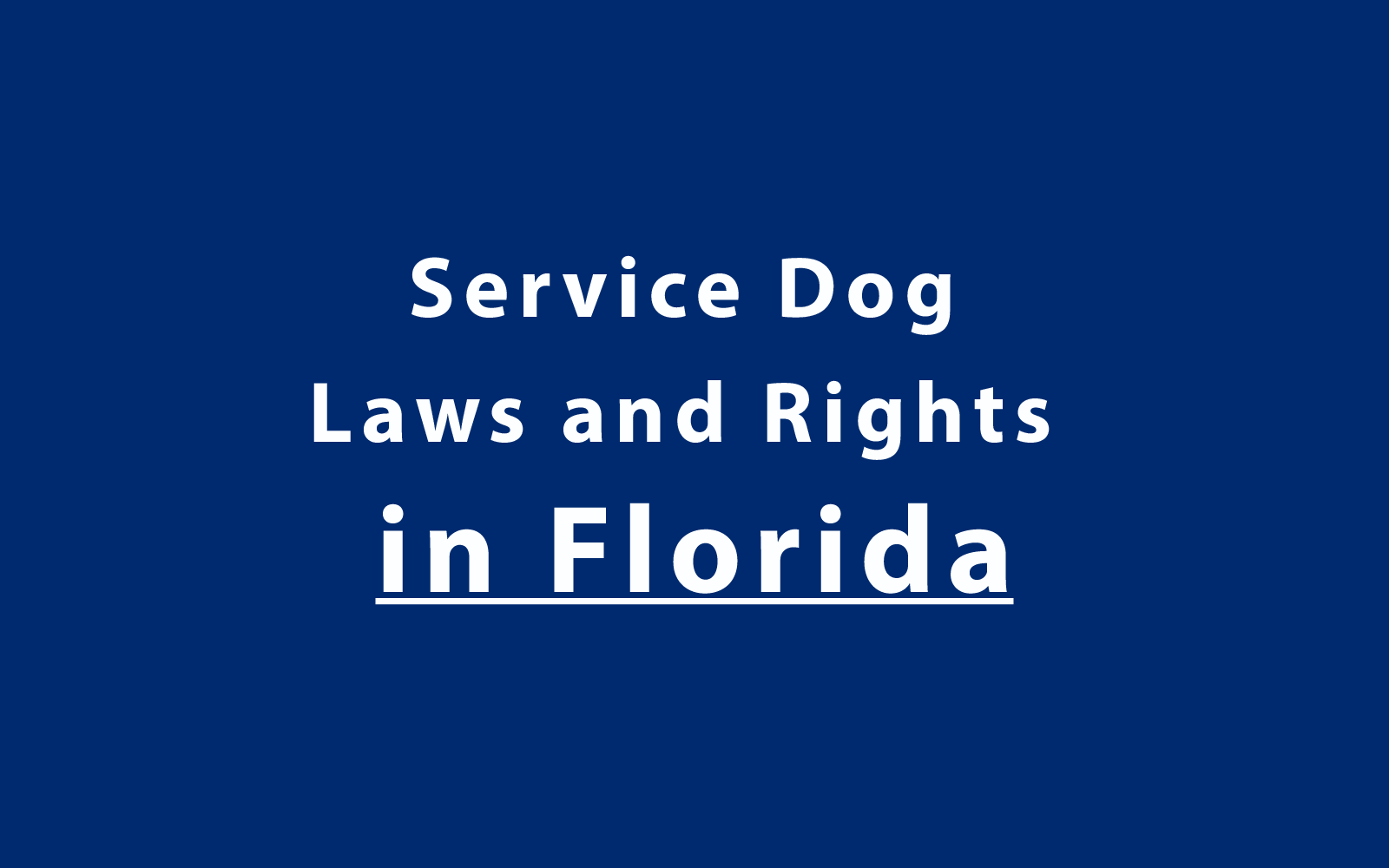 Service Dog Laws and Rights in Florida