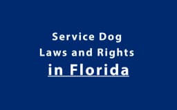 Service Dog Laws and Rights in Florida