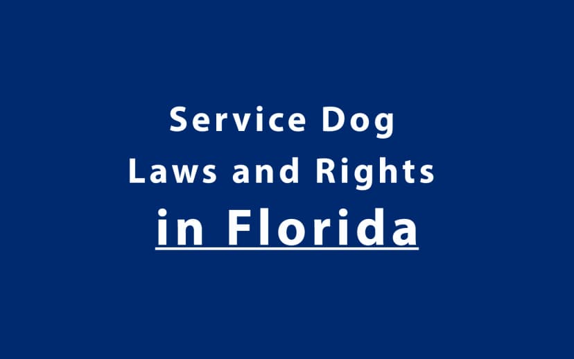 Service Dog Laws and Rights in Florida