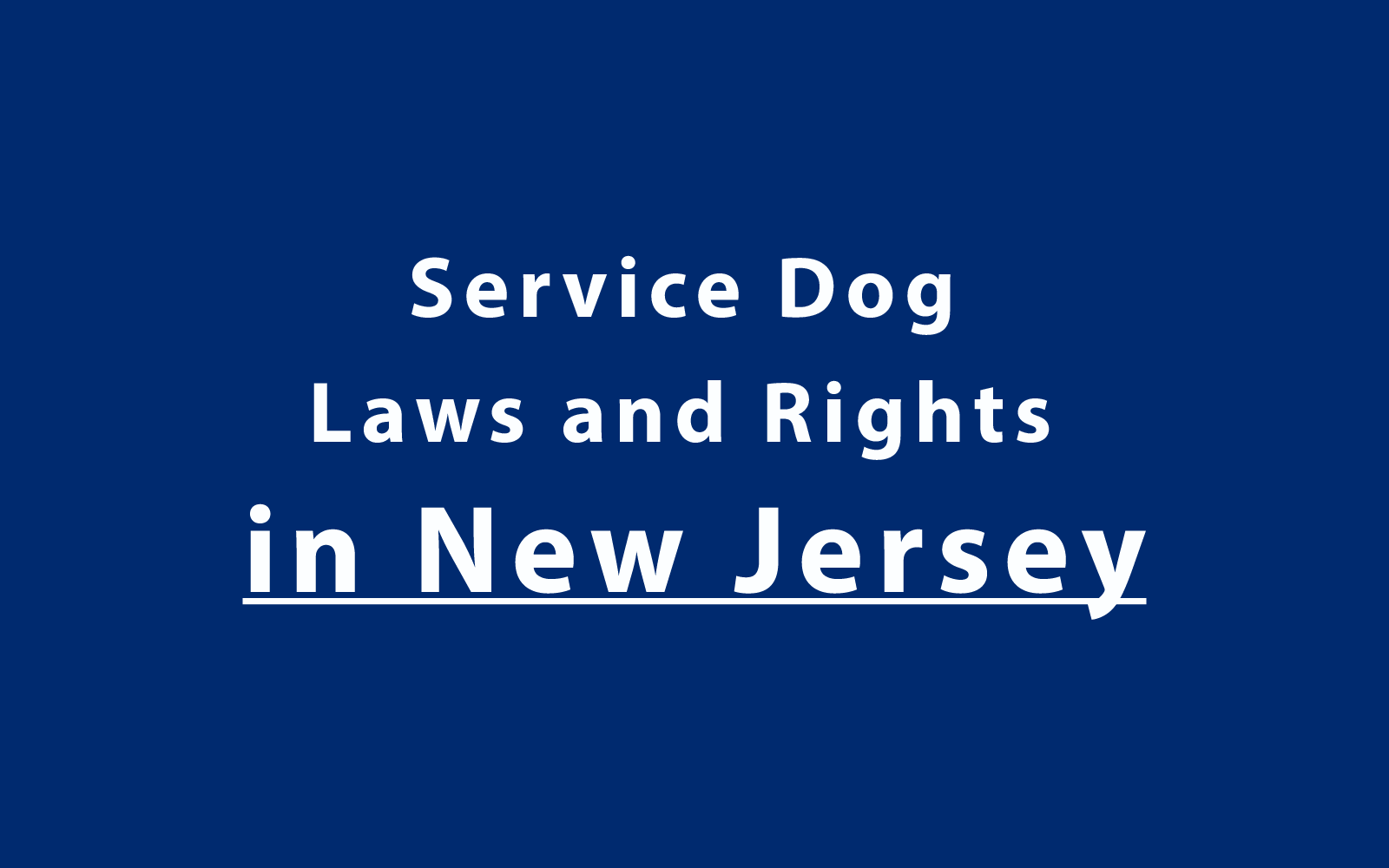 Service Dog Laws and Rights in New Jersey