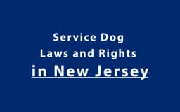 Service Dog Laws and Rights in New Jersey