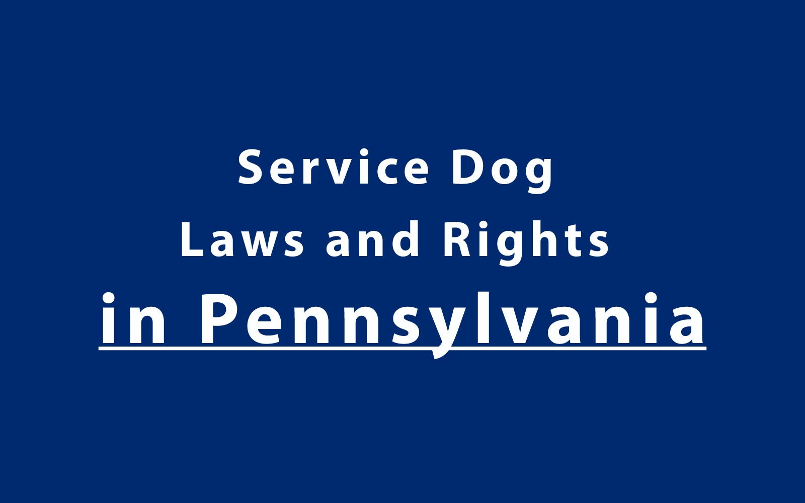 Service Dog Laws and Rights in Pennsylvania