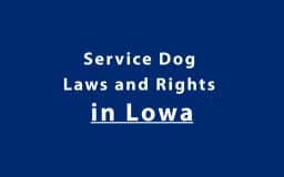 Service Dog Laws and Rights in Iowa