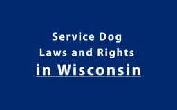 Service Dog Laws and Rights in Wisconsin