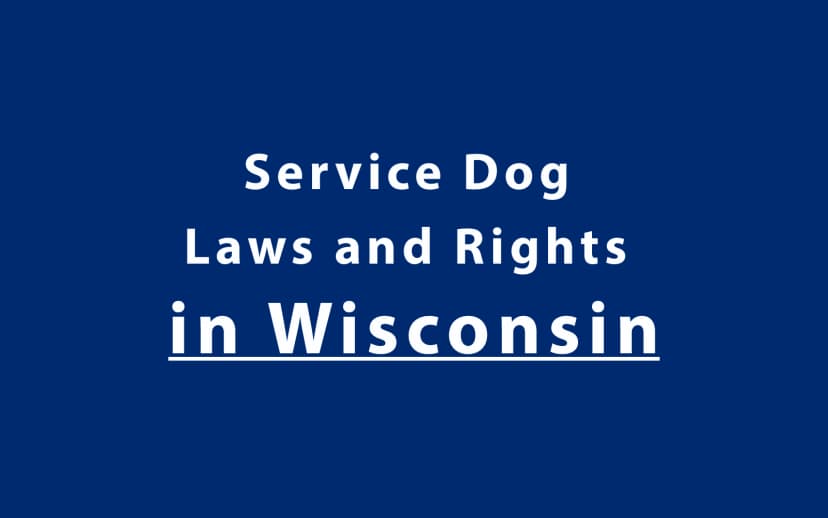 Service Dog Laws and Rights in Wisconsin