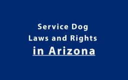 Service Dog Laws and Rights in Arizona