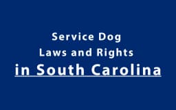 Service Dog Laws and Rights in South Carolina