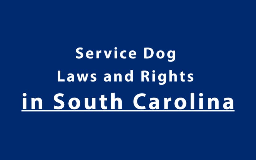 Service Dog Laws and Rights in South Carolina
