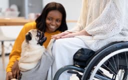 What is an Autism Service Dog?