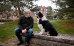 How To Get A Psychiatric Service Dog