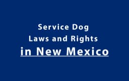 Service Dog Laws and Rights in New Mexico
