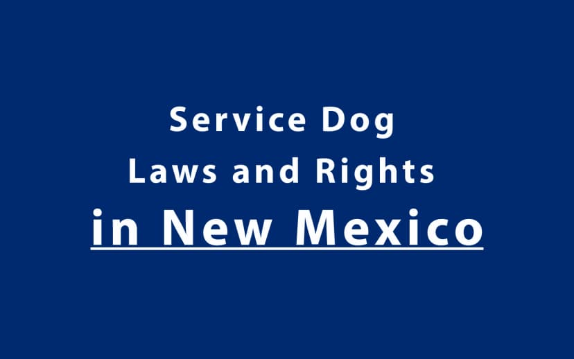 Service Dog Laws and Rights in New Mexico