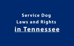 Service Dog Laws and Rights in Tennessee