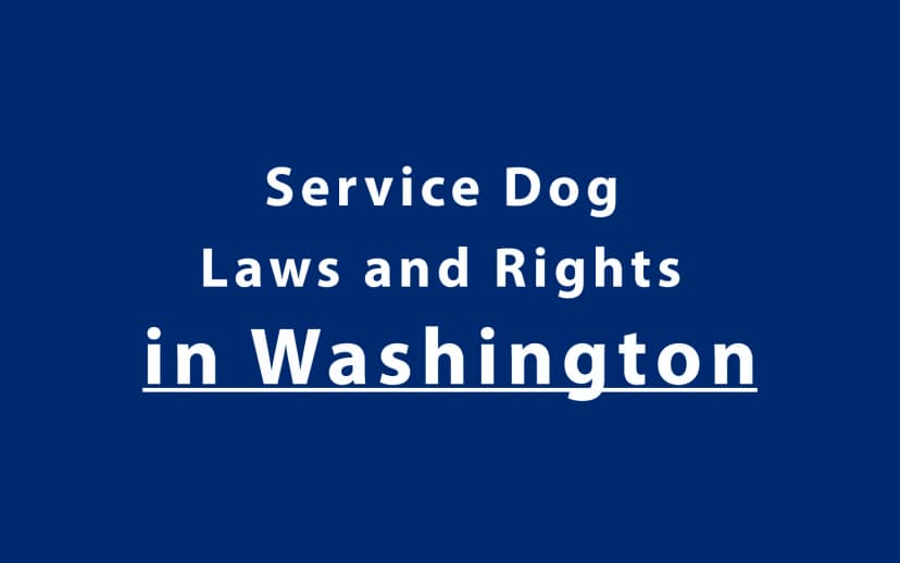 Service Dog Laws and Rights in Washington