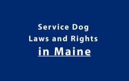 Service Dog Laws and Rights in Maine
