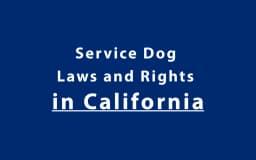 Service Dog Laws and Rights in California