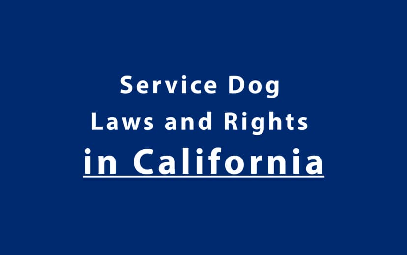 Service Dog Laws and Rights in California