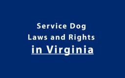 Service Dog Laws and Rights in Virginia