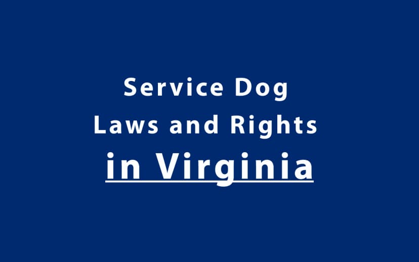 Service Dog Laws and Rights in Virginia