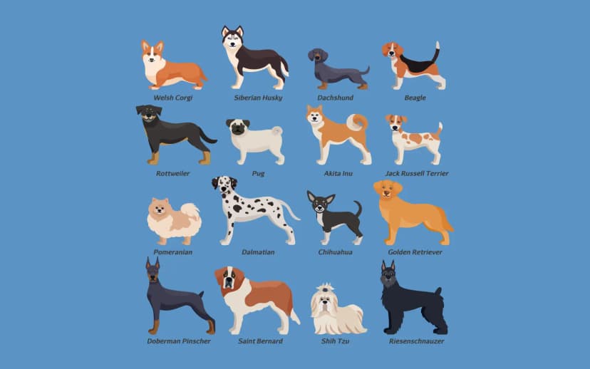 Most Popular Dog Breeds in the U.S. for 2025