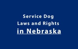 Service Dog Laws and Rights in Nebraska