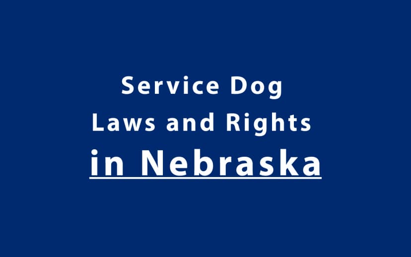 Service Dog Laws and Rights in Nebraska