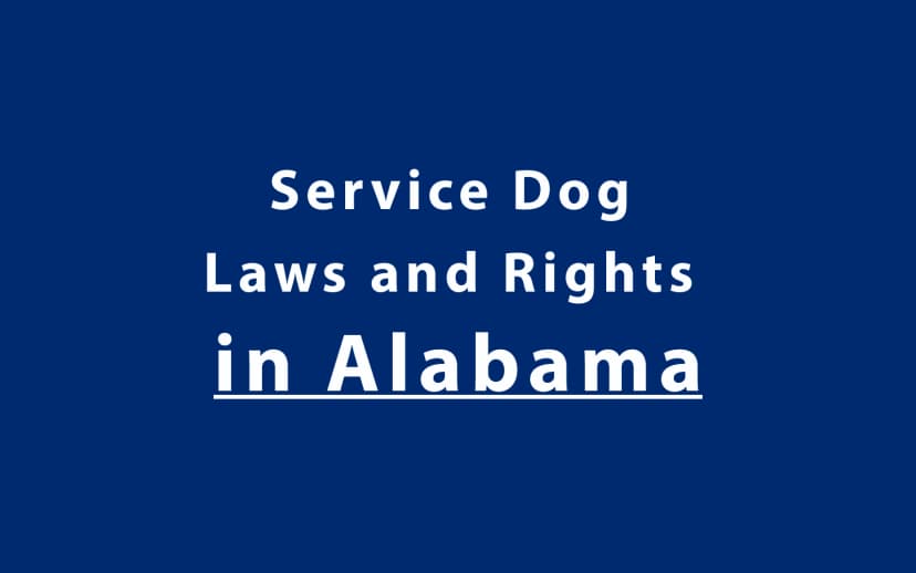 Service Dog Laws and Rights in Alabama