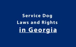 Service Dog Laws and Rights in Georgia